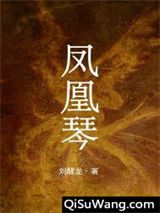 凤凰琴小说