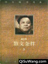 散文杂拌小说