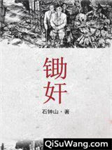 锄奸小说