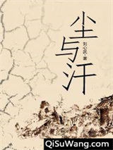 尘与汗小说
