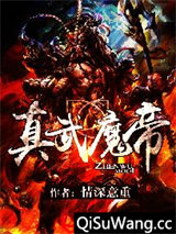 真武魔帝小说