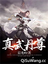 真武丹尊小说