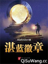 湛蓝徽章小说