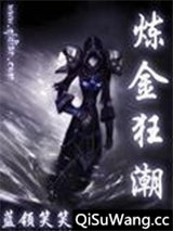 炼金狂潮小说
