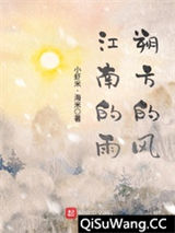 江南的雨朔方的风小说
