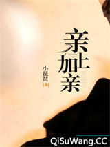 亲上加亲小说