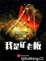 我是矿老板小说