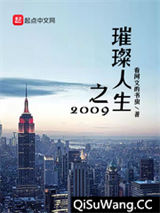 璀璨人生之2009小说