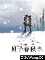 贝子春秋小说