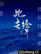 此去经年小说
