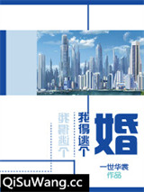 我得逃个婚小说