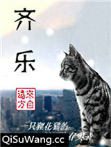 齐乐小说