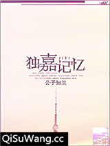 独嘉记忆小说