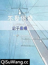 不撩何娶小说