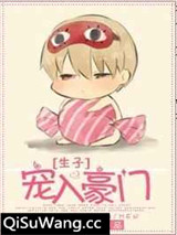宠入豪门小说