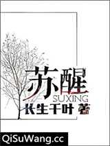 苏醒小说