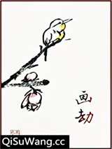 画劫小说