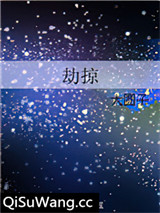 劫掠小说
