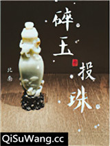 碎玉投珠小说