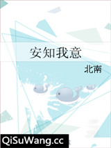 安知我意小说