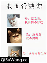 我五行缺你小说
