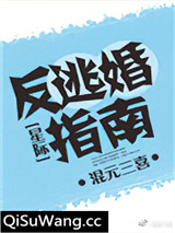 反逃婚指南[星际]小说