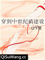 穿到中世纪搞建设小说