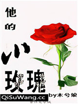 他的小玫瑰（作者：木兮娘）小说