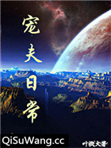宠夫日常小说