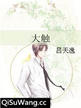 大触小说