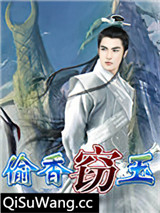 窃玉+偷香小说
