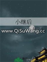 小继后小说