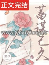 蓄谋已久小说