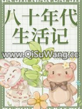 八十年代生活记小说