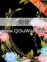 刻骨小说
