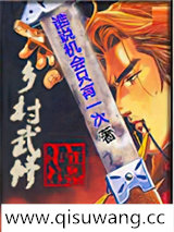 乡村武修小说