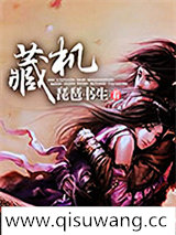 藏机小说