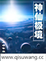 神仙极境小说