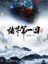 诸界第一因小说