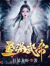 至强武帝小说