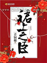 裙上之臣小说