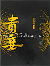 贵妾小说