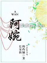 阿婉小说