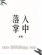 落入掌中小说