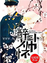 醉卧少帅怀小说