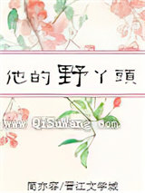 他的野丫头小说