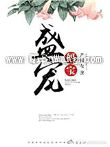 盛宠妈宝小说