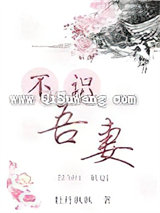 不识吾妻小说