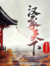 汉家天下小说