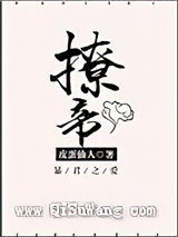 撩帝小说